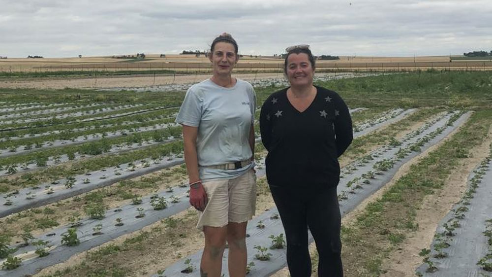 Sandy (à gauche) est embauchée depuis le 14 mars 2020 à la Cueillette de la Pompelle, l’exploitation maraîchère d’Aurélie Demagny (à droite), située à Saint-Léonard, dans la Marne. © A. Demagny